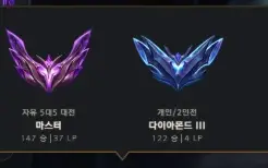 Conta Mestre Flex - D3 Solo/Duo Main Jg