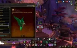 Conta WORLD OF WARCRAFT Top -  colecionador - Bfa