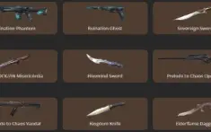 Conta Valorant Com 10 Facas E 101 Skins - Card/Chaveiro Beta