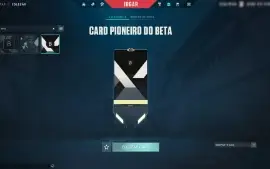 Conta Valorant Com 10 Facas E 101 Skins - Card/Chaveiro Beta