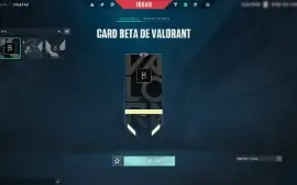 Conta Valorant Com 10 Facas E 101 Skins - Card/Chaveiro Beta