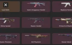 Conta Valorant Com 10 Facas E 101 Skins - Card/Chaveiro Beta