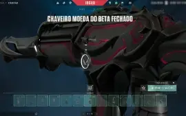 Conta Valorant Com 10 Facas E 101 Skins - Card/Chaveiro Beta