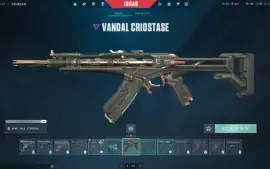 Vendo conta valorant