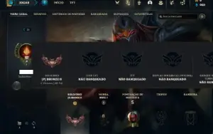 Conta bronze 2 com 25 Champs e 2 Skins
