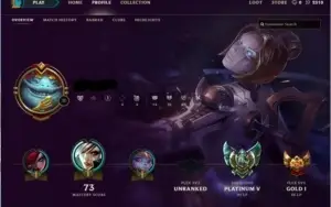 CONTA PLATINA 5 ,MMR ALTO! BORDA OURO 1