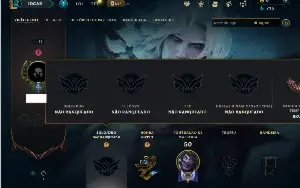 Unranked com 35 Champs e 2 Skins