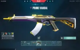 Conta Valorant LVL 96 - Com muitas skins