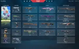 Conta Valorant LVL 96 - Com muitas skins