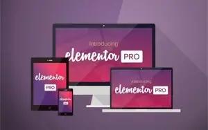 Elementor Pro 2022 Vitalício Com Domínios Ilimitados + Bônus