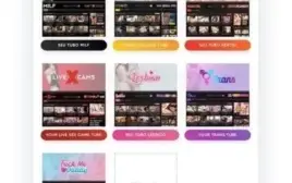 Wp-script Todos Os Temas E Plugins (original) Sites Adultos