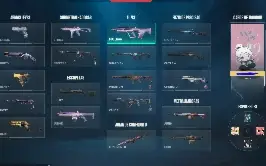 Conta valorant com varias skins e faca vct
