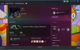 CONTA csgo ak cruzada , 920 horas , insigna major 2021