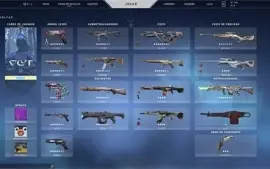 Conta Valorant Platina 3 Todos Pacotes Champions 6500 Gastos