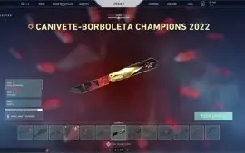 Conta Valorant Platina 3 Todos Pacotes Champions 6500 Gastos
