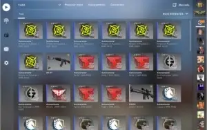 STEAM RARA COM 17 ANOS COM CSGO PRIME