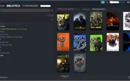 STEAM RARA COM 17 ANOS COM CSGO PRIME