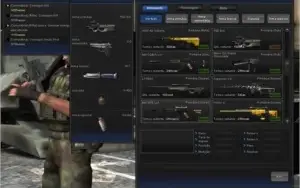 Point Blank: Conta Tenente Coronel 1/ Todas as boinas.
