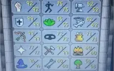Sell maxed rang tanker  113 combat !