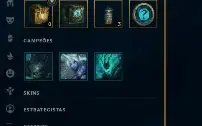 Conta League Of Legends - Sem Elo Atual - 425 Skins ++++