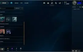 conta lvl 30
