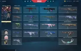 Conta Valorant Level 233, 83 skins, 5 facas