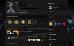 VENDO CONTA LV20 GC, AGUIA 2 E VARIAS MEDALHAS