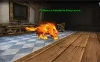 Druid mage tower, feral, guardião e balance
