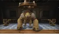Druid mage tower, feral, guardião e balance