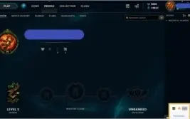 Conta De League Of Legends PBE 8k Rp 20k Ip