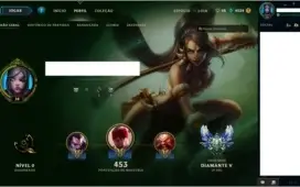D5 129 Champions  60 Skins 101 Icones