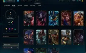 D5 129 Champions  60 Skins 101 Icones