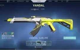 CONTA VALORANT COM MUITAS SKINS - COLEÇÃO SAQUEADORA