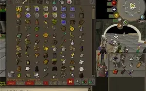 pure oldscholl fire cape gracefull pet mage arena 2