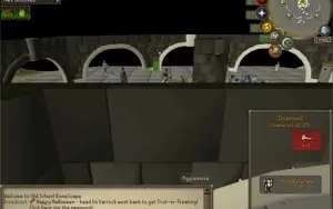 pure oldscholl fire cape gracefull pet mage arena 2