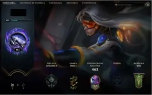 690 SKINS, UNRAKED, FULL DADOS, VENDA POR NECESSIDADE.