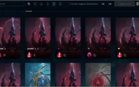 690 SKINS, UNRAKED, FULL DADOS, VENDA POR NECESSIDADE.