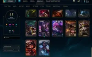 CONTA PRATA 1,  43 SKINS,  105 CHAMPS!