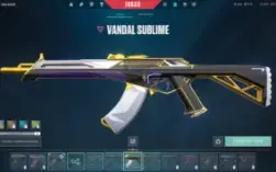 Vendo conta de valorant FULL ACESSO!