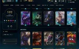 Unranked com 110 Champs e 102 Skins ( SUP / JG / TOP )