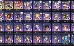 Acheron E2S1 + Aventurine + Jingliu + Robin - TL 65