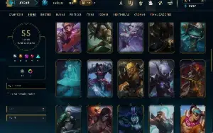 Unranked com 150 Champs e 55 Skins ( ADC / SUP / MID / JG )