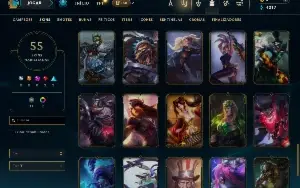 Unranked com 150 Champs e 55 Skins ( ADC / SUP / MID / JG )