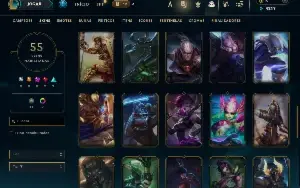 Unranked com 150 Champs e 55 Skins ( ADC / SUP / MID / JG )