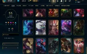 Unranked com 150 Champs e 55 Skins ( ADC / SUP / MID / JG )