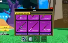 Conta de blox fruits com 2x money e 2 espaços de fruta