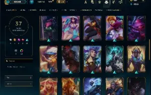 Unranked com 60 Champs e 37 Skins ( ADC / SUP / JG )