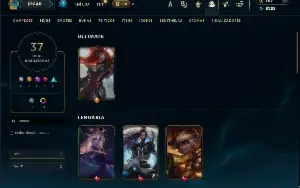 Unranked com 60 Champs e 37 Skins ( ADC / SUP / JG )