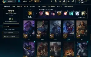 Unranked com 60 Champs e 37 Skins ( ADC / SUP / JG )