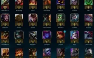Vender Conta Platina 5